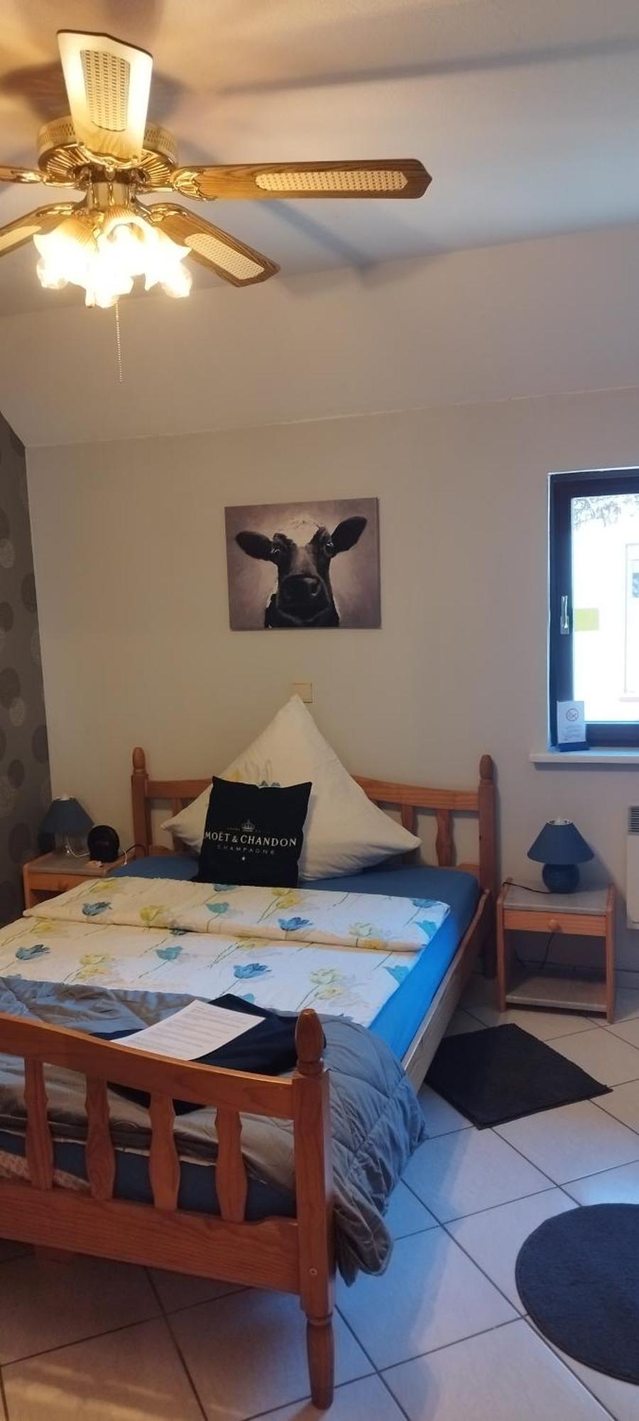 Pension Deerkemer Kuh Dorn-Durkheim Room photo